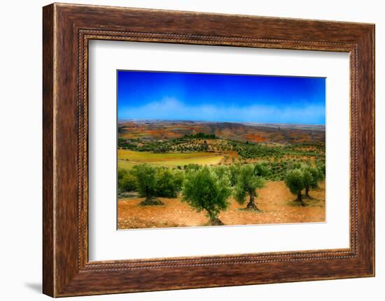 Olive Filed-Viviane Fedieu Daniel-Framed Photographic Print