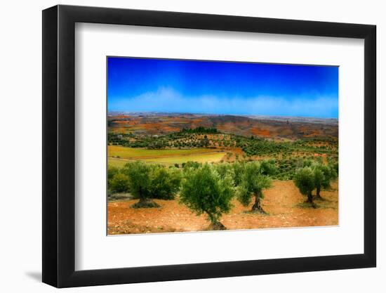 Olive Filed-Viviane Fedieu Daniel-Framed Photographic Print