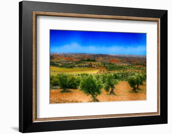 Olive Filed-Viviane Fedieu Daniel-Framed Photographic Print