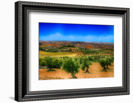 Olive Filed-Viviane Fedieu Daniel-Framed Photographic Print