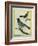 Olive-Green Tanager and Black-Chinned Antbird-Georges-Louis Buffon-Framed Giclee Print