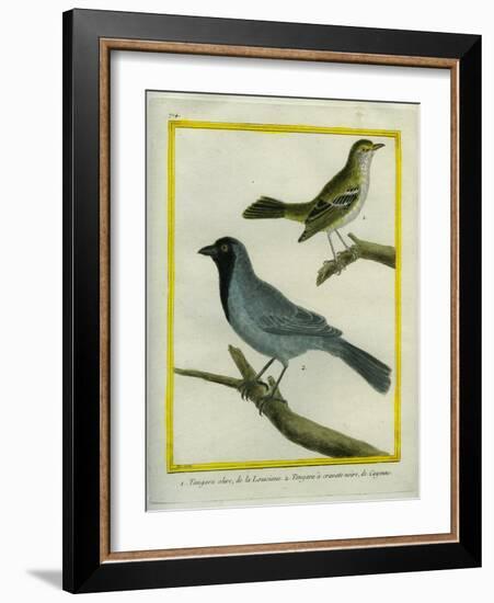 Olive-Green Tanager and Black-Chinned Antbird-Georges-Louis Buffon-Framed Giclee Print