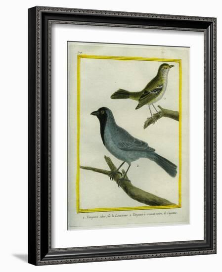 Olive-Green Tanager and Black-Chinned Antbird-Georges-Louis Buffon-Framed Giclee Print