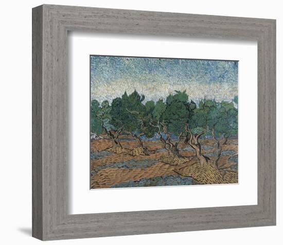 Olive Grove, 1889-Vincent van Gogh-Framed Art Print