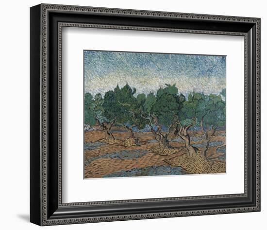 Olive Grove, 1889-Vincent van Gogh-Framed Art Print