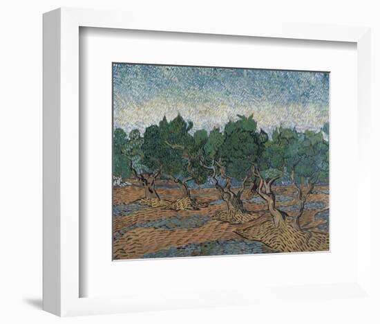 Olive Grove, 1889-Vincent van Gogh-Framed Art Print