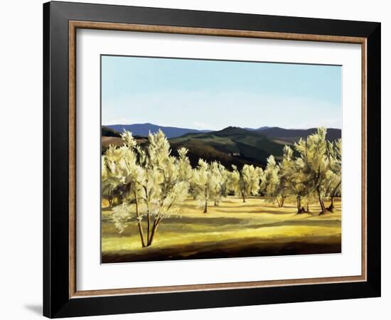 Olive Grove at the Villa-Helen J. Vaughn-Framed Giclee Print