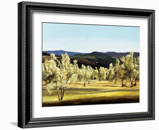 Olive Grove at the Villa-Helen J. Vaughn-Framed Giclee Print