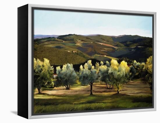 Olive Grove in Italy-Helen J. Vaughn-Framed Premier Image Canvas