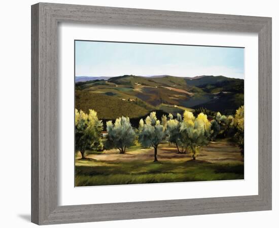 Olive Grove in Italy-Helen J. Vaughn-Framed Giclee Print