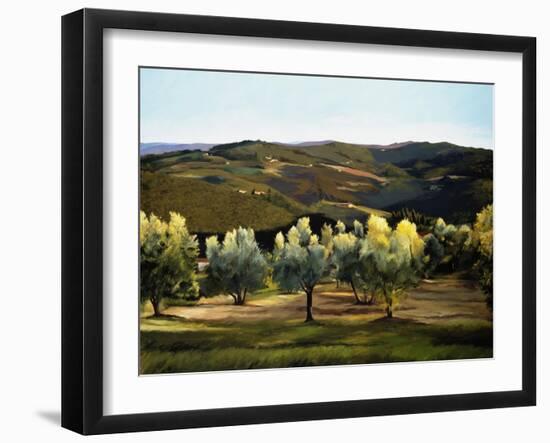 Olive Grove in Italy-Helen J. Vaughn-Framed Giclee Print