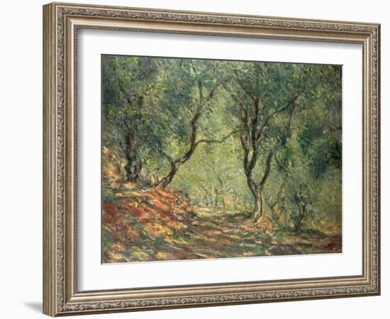 Olive Grove in the Moreno Garden, 1884-Claude Monet-Framed Premium Giclee Print