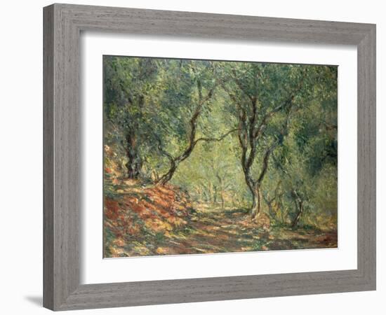 Olive Grove in the Moreno Garden, 1884-Claude Monet-Framed Premium Giclee Print