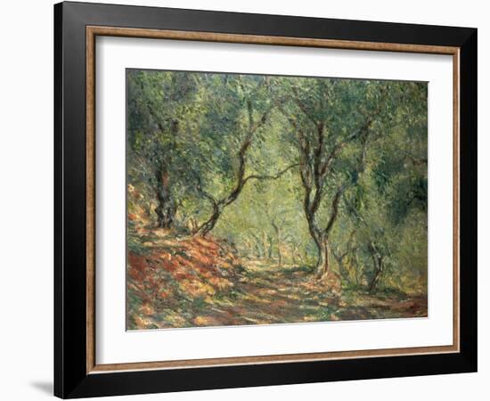 Olive Grove in the Moreno Garden, 1884-Claude Monet-Framed Premium Giclee Print