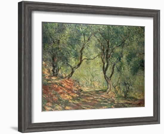 Olive Grove in the Moreno Garden, 1884-Claude Monet-Framed Giclee Print