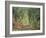 Olive Grove in the Moreno Garden, 1884-Claude Monet-Framed Giclee Print