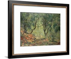 Olive Grove in the Moreno Garden, 1884-Claude Monet-Framed Giclee Print