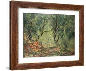 Olive Grove in the Moreno Garden, 1884-Claude Monet-Framed Giclee Print