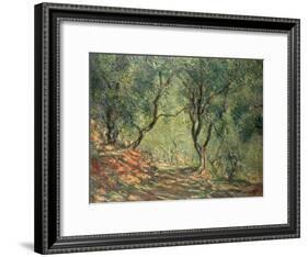 Olive Grove in the Moreno Garden, 1884-Claude Monet-Framed Giclee Print