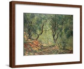 Olive Grove in the Moreno Garden, 1884-Claude Monet-Framed Giclee Print