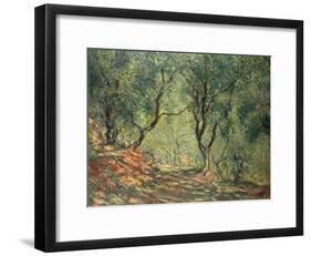 Olive Grove in the Moreno Garden, 1884-Claude Monet-Framed Giclee Print