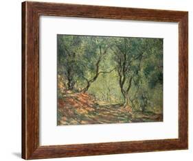 Olive Grove in the Moreno Garden, 1884-Claude Monet-Framed Giclee Print