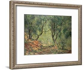 Olive Grove in the Moreno Garden, 1884-Claude Monet-Framed Giclee Print