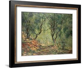 Olive Grove in the Moreno Garden, 1884-Claude Monet-Framed Giclee Print