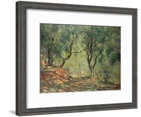 Olive Grove in the Moreno Garden, 1884-Claude Monet-Framed Giclee Print