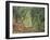 Olive Grove in the Moreno Garden, 1884-Claude Monet-Framed Giclee Print