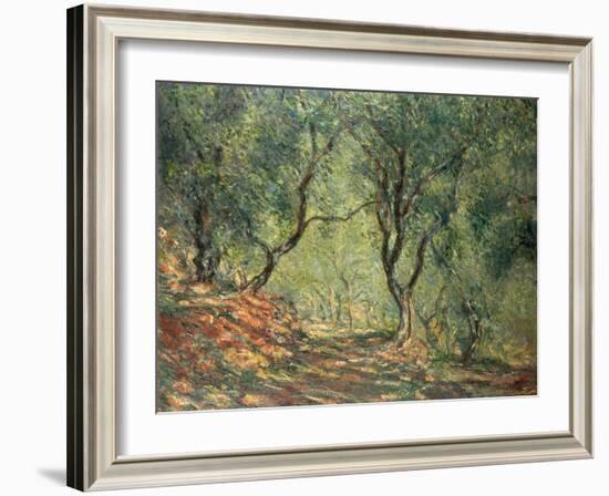 Olive Grove in the Moreno Garden, 1884-Claude Monet-Framed Giclee Print