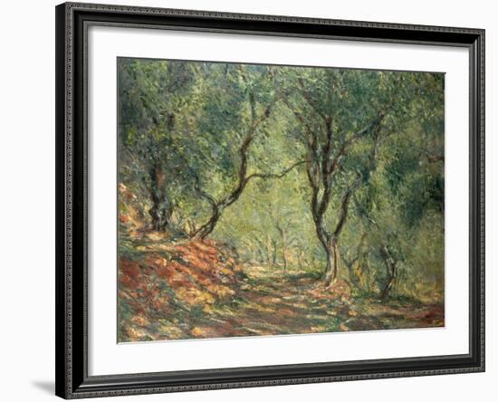 Olive Grove in the Moreno Garden, 1884-Claude Monet-Framed Giclee Print