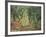 Olive Grove in the Moreno Garden, 1884-Claude Monet-Framed Giclee Print