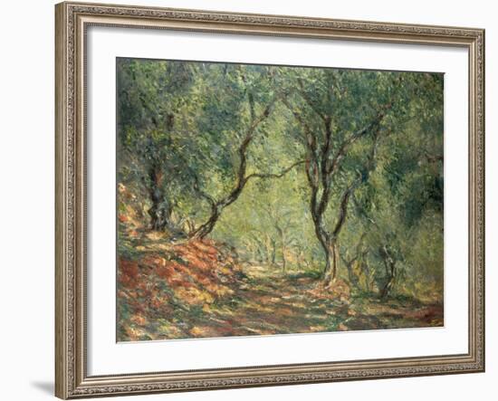 Olive Grove in the Moreno Garden, 1884-Claude Monet-Framed Giclee Print