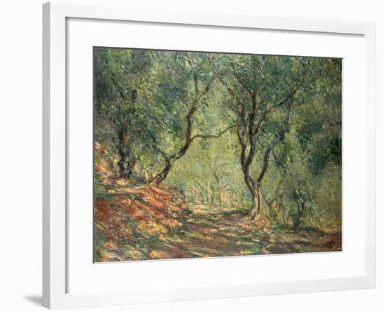 Olive Grove in the Moreno Garden, 1884-Claude Monet-Framed Giclee Print