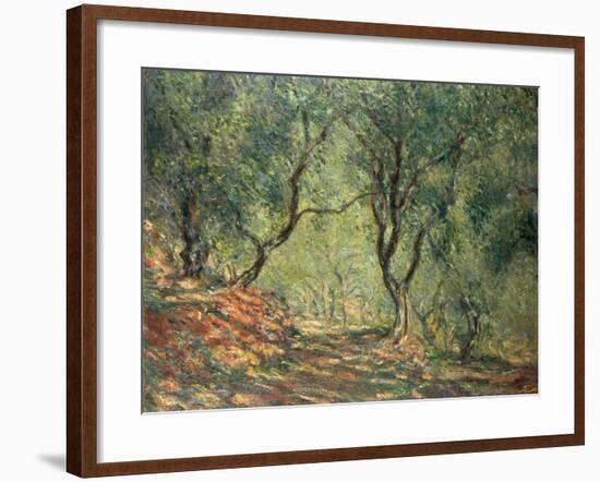 Olive Grove in the Moreno Garden, 1884-Claude Monet-Framed Giclee Print