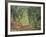 Olive Grove in the Moreno Garden, 1884-Claude Monet-Framed Giclee Print