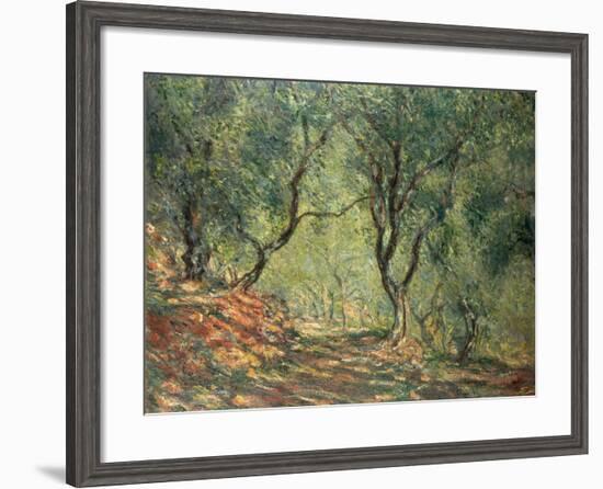 Olive Grove in the Moreno Garden, 1884-Claude Monet-Framed Giclee Print