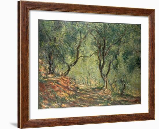 Olive Grove in the Moreno Garden, 1884-Claude Monet-Framed Giclee Print