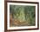 Olive Grove in the Moreno Garden, 1884-Claude Monet-Framed Giclee Print