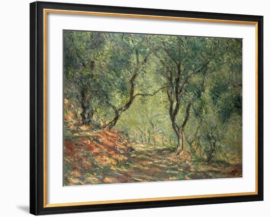 Olive Grove in the Moreno Garden, 1884-Claude Monet-Framed Giclee Print