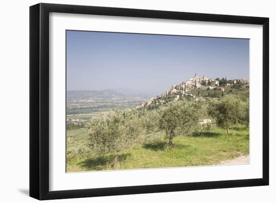 Olive grove near to Trevi in the Val di Spoleto, Umbria, Italy, Europe-Julian Elliott-Framed Photographic Print