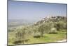 Olive grove near to Trevi in the Val di Spoleto, Umbria, Italy, Europe-Julian Elliott-Mounted Photographic Print