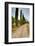 Olive Grove on the Rolling Hills of Tuscany-Terry Eggers-Framed Photographic Print