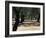 Olive Grove, Puglia, Italy, Europe-Oliviero Olivieri-Framed Photographic Print