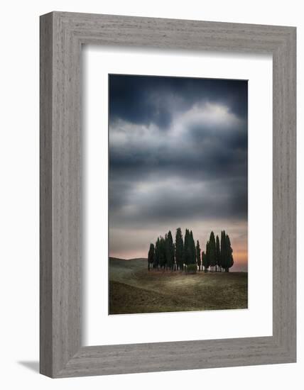 Olive Groves and Vineyards of the Monticiano Area-Terry Eggers-Framed Photographic Print