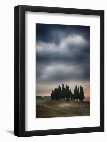 Olive Groves and Vineyards of the Monticiano Area-Terry Eggers-Framed Photographic Print