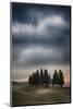 Olive Groves and Vineyards of the Monticiano Area-Terry Eggers-Mounted Photographic Print