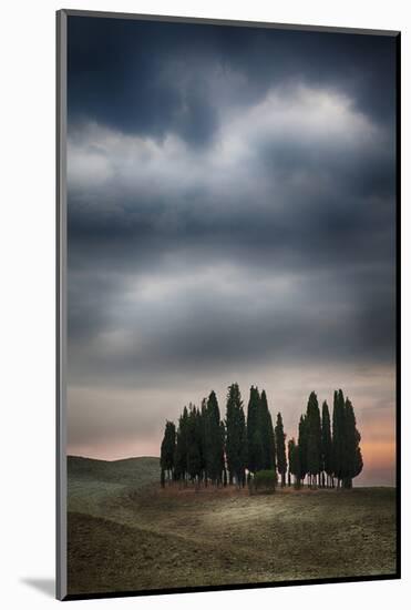 Olive Groves and Vineyards of the Monticiano Area-Terry Eggers-Mounted Photographic Print