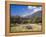 Olive Groves, Cephalonia, Ionian Islands, Greece, Europe-Jonathan Hodson-Framed Premier Image Canvas